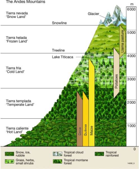 Ideal altitudes for the cultivation of various Andean crops.