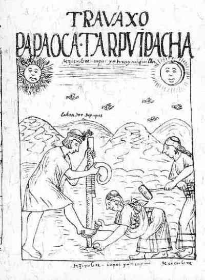Illustration of Inca farmers using a chaki taklla, by Felipe Guaman Poma de Ayala, 1616.